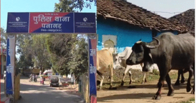 जबलपुर में भैंस चोरी का अनोखा मामला, पुलिस ने शुरू की जांच