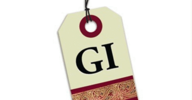 MP के दो पारंपरिक कृषि उत्पादों को GI टैग, बालाघाट के चिन्नौर धान और रीवा के सुंदरजा आम को शामिल किया गया