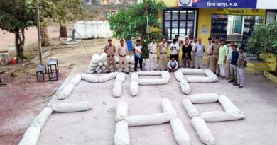 अवैध अफीम की खेती पर मध्यप्रदेश पुलिस का बड़ा प्रहार : 3 करोड़ रुपये से अधिक की 7890 किलोग्राम फसल जब्त