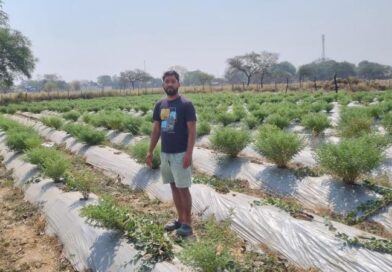 रासायनिक उर्वरकों का कम उपयोग और प्राकृतिक व जैविक खेती को कर रहें प्रोत्साहित