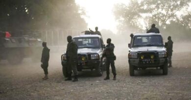 माली की राजधानी बमाको समेत कई शहरों में धमाके व गोलीबारी