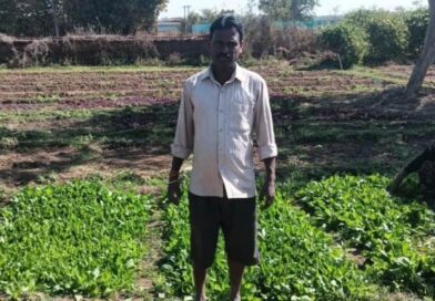 डबरी बनी स्थायी आजीविका का आधार : जल संरक्षण के साथ बढ़ी आय