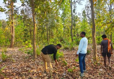 बाघ गणना का कार्य सफलतापूर्वक संपन्न