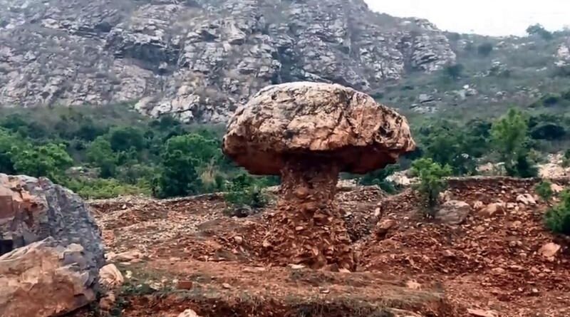 पर्यटकों के बीच तेजी से लोकप्रिय हो रहा मशरूम पहाड़