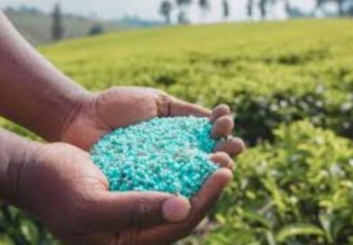 खाद संकट से सबक, खरीफ सीजन के लिए सरकार का सख्त प्लान