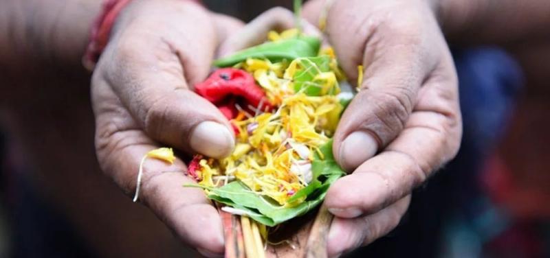 वैशाख अमावस्या पर करें ये अचूक उपाय, पितृ दोष से मिलेगी मुक्ति