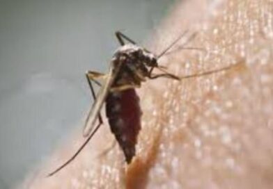 विश्व मलेरिया दिवस पर चेतावनी: मलेरिया में डबल इंफेक्शन बढ़ा रहा खतरा