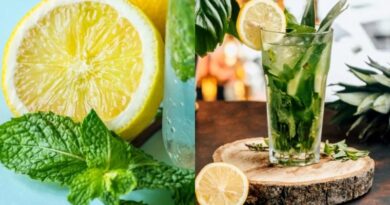 पुदीने और नींबू का कमाल: हीटवेव के दौरान शरीर को रिफ्रेश रखने के सबसे आसान उपाय