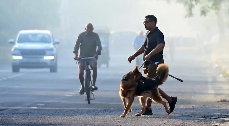 एमपी में मौसम का डबल अटैक: कहीं आंधी-बारिश तो कहीं तेज गर्मी का कहर