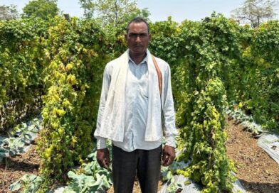 सफलता की इबारत: वाटरशेड योजना ने बदली किसान छबी लाल की तकदीर