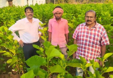 ​धमतरी में रेशम की चमक: ‘सिल्क समग्र-2’ से संवर रही ग्रामीणों की तकदीर, किसान बन रहे आत्मनिर्भर