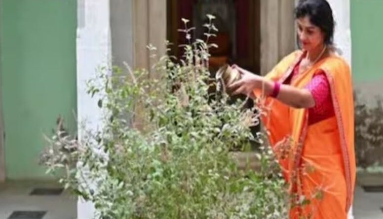 मलमास में तुलसी पूजा का खास महत्व, इन उपायों से दूर होंगे ग्रह दोष, बढ़ेगी सुख-समृद्धि