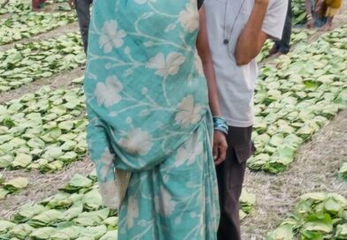 हरा सोना’ बना समृद्धि का आधार : तेंदूपत्ता खरीदी की बढ़ी दर ने संग्राहकों का बढ़ाया उत्साह व भरोसा, हर फड़ पर रौनक