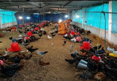 मजदूरी करने वाली रानी यादव बनी गांव की सफल महिला व्यवसायी