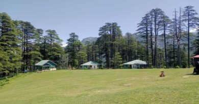वैष्णो देवी ट्रिप को बनाएं डबल मजेदार, आसपास की इन जगहों की भी करें यात्रा