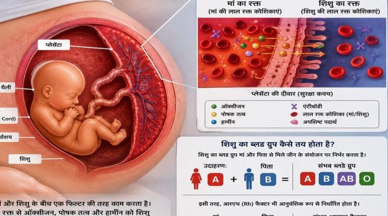 मां का ब्लड ग्रुप सीधे बच्चे के ब्लड ग्रुप को प्रभावित क्यों नहीं करता: शोध
