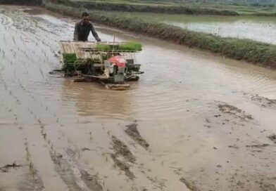 किसान अब उन्नत तकनीक की ओर अग्रसर, पैडी ट्रांसप्लांटर विधि से धान रोपाई