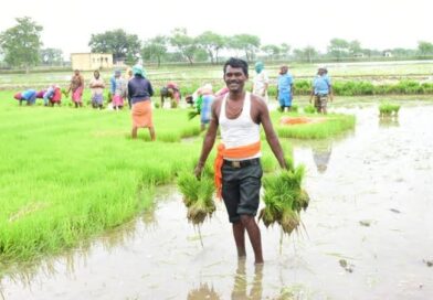 गौरेला पेन्ड्रा मरवाही जिले ने हासिल किया पीएम किसान सम्मान निधि योजना का 80 प्रतिशत लक्ष्य