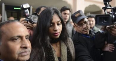 भारतीय मूल की महिला पर वीजा धोखाधड़ी का आरोप, जांच के बाद बढ़ी हलचल