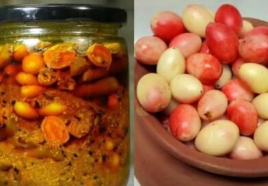 करोंदे के अचार से बढ़ाएं खाने का स्वाद, घर पर बनाने की पूरी विधि जानें