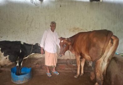 पीएम किसान सम्मान निधि की बचत से खरीदी पहली गाय, आज 10 गायों के साथ आत्मनिर्भर बने 75 वर्षीय परशुराम गुप्ता