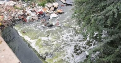 सीहोर में खराब पुलिया पर पलटा पानी के केन से भरा ऑटो, निर्माण की मांग तेज