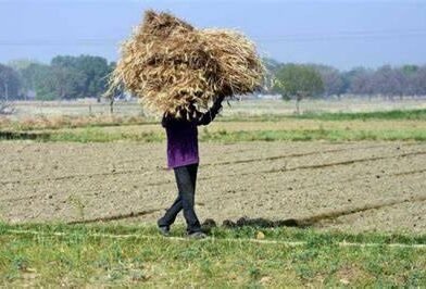 74% महाराष्ट्र सूखे की चपेट में, किसानों को संभालने के लिए बेटे रह रहे साथ