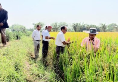 माटी में रोजगार- प्रतिदिन 300 रुपए की मजदूरी से श्रमिक परिवारों को मिला मजबूत आर्थिक आधार, पलायन पर लगी रोक
